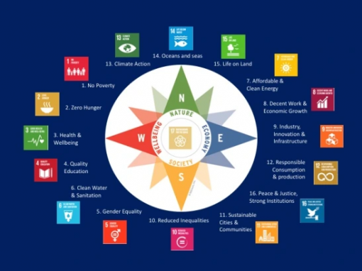 Kenali Apa Itu Sustainability Compass Dan Kegunaannya - Olahkarsa Blog