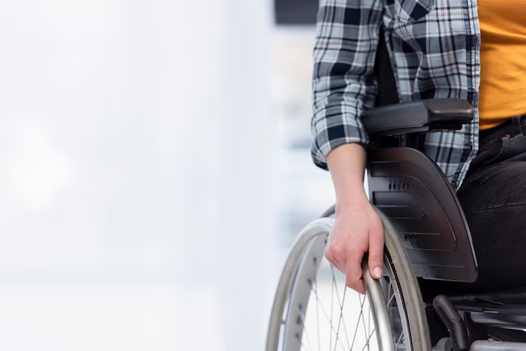 Penyandang disabilitas