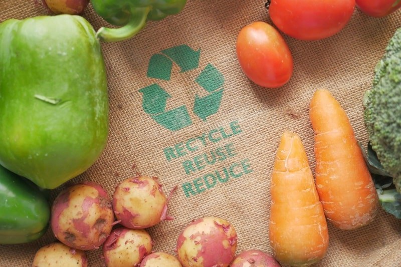 Ilustrasi proses circular economy pada limbah pangan