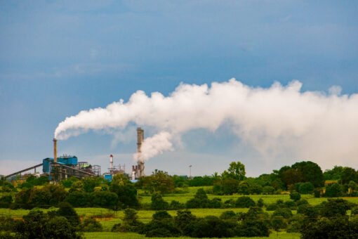 MRA Pasar Karbon Indonesia dengan Plan Vivo dan Global Carbon Council