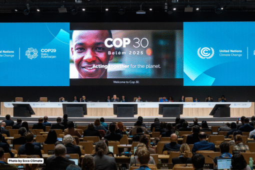 COP30 atau Conference of the Parties ke-30 adalah konferensi perubahan iklim global yang membahas komitmen negara terhadap aksi iklim. COP30 berada di bawah UNFCCC (United Nations Framework Convention on Climate Change) sebagai kerangka kerja internasional untuk mitigasi dan adaptasi iklim. Konferensi ini mempertemukan negara, bisnis, akademisi, dan organisasi untuk mempercepat aksi iklim.