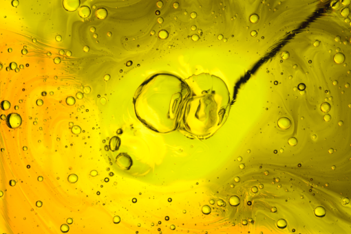 Pengembangan SAF menempati posisi strategis dalam agenda transisi energi Indonesia, sejalan dengan visi “swasembada energi” dalam Asta Cita. Sektor energi masih menjadi penyumbang emisi terbesar nasional, dengan transportasi berkontribusi 22%.