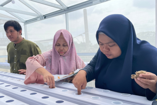 Membangun ketahanan pangan bagi komunitas tidak lagi dapat dipandang semata sebagai isu produksi pertanian. Di tengah urbanisasi yang semakin masif, keterbatasan lahan, serta dampak perubahan iklim, tantangan pangan kini bergeser ke ranah akses, kapasitas, dan keberlanjutan sistem pangan komunitas.