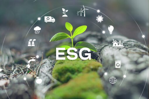 ESG menjadi fondasi utama untuk menciptakan ekonomi Indonesia yang resilien terhadap guncangan global dan kompetitif dalam jangka panjang.