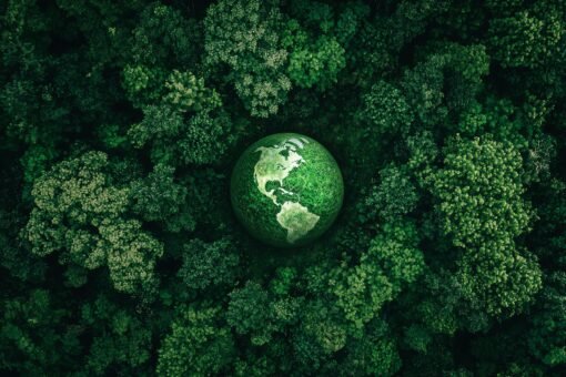 Sustainability management merupakan pendekatan pengelolaan bisnis yang mengintegrasikan aspek lingkungan, sosial, dan ekonomi secara menyeluruh. Tujuannya bukan hanya menjaga keberlanjutan operasional perusahaan, tetapi juga menciptakan nilai jangka panjang bagi manusia, alam, dan perekonomian secara seimbang.